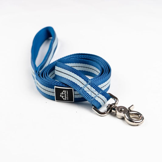 Appalachian Jazz Blue, Flat Dog Leash - 6 FT - So Adogable