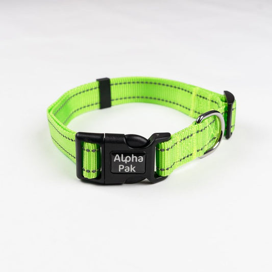 Appalachian Kiwi Green Dog Collar - So Adogable