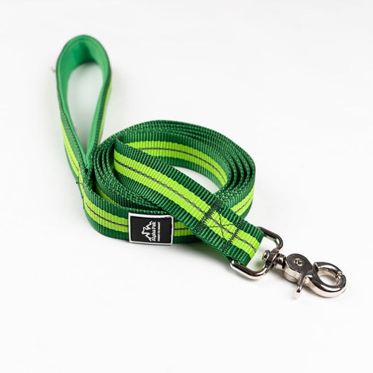 Appalachian Kiwi Green, Flat Dog Leash - 6 FT - So Adogable