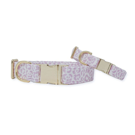 French Lavender Rosette Classic Dog Collar - So Adogable