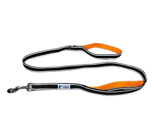 Headlight Harness Reflective Double Handle Leash - So Adogable