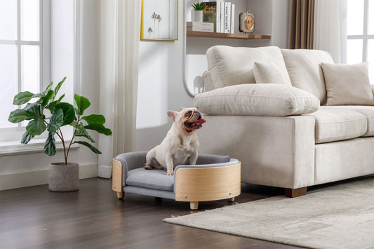 Medium Scandinavian Style Elevated Dog Sofa With Bent Wood Back and Sides, Light Gray Velvet Cushion - So Adogable