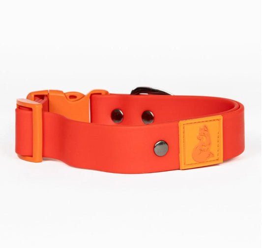 Scarlet Peaks Waterproof Dog Collar - So Adogable