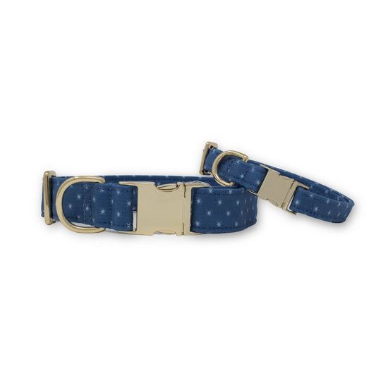 Starry Sky Classic Dog Collar - So Adogable